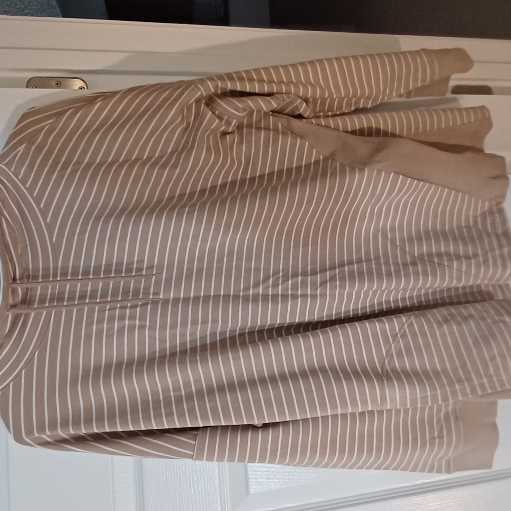 Time and Tru striped Tan Long Sleeve Top. Size 2X